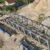 Jembatan Rangka A40 – Hauling Road, Kalimantan Barat